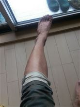 楽しかった夏休み(･∀･)