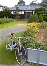 今日の朝走り