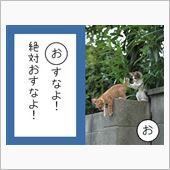 こっちも久々の…