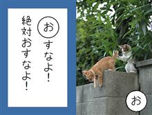 こっちも久々の…