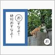 こっちも久々の…