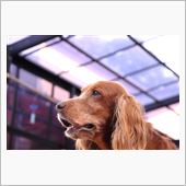 EOS　７D　デビュー戦　( ...