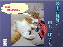 暑中見舞い 暑中見舞い