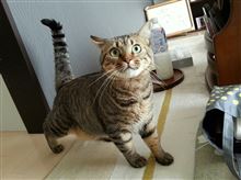 成長しております