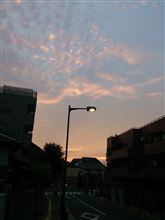 (・・?))アレ　もう秋ですか???