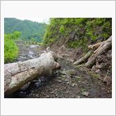 明かずの富山県道54号線