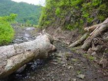 明かずの富山県道54号線