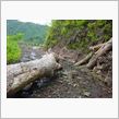 明かずの富山県道54号線