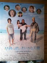 沖縄離島へ！！（石垣島～竹富島編）