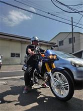NO.796　あれ！太った？　AX-1の浮気(笑)