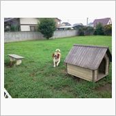 生えかわりの季節？