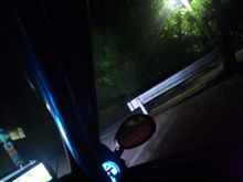 今日もしれっと…(爆)
