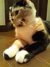 素敵な贈り物♪♪♪