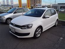 お待たせ致しました。..ザックス　パフォーマンスプラス　POLO　6R