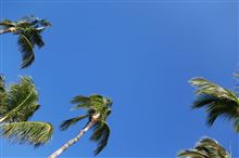 ２０１３　夏休み　ハワイ島　前編