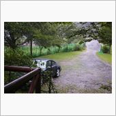 雨の日ドライブ