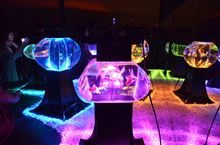 アートアクアリウム展　～名古屋・金魚の雅～