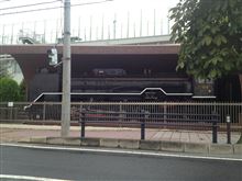 D51