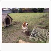 伸び伸びしてる。