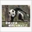 2014年モデルのお話