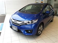 先立つ物は無いけれど．．．FIT3HV