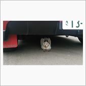 落ち着くにゃぁ〜。