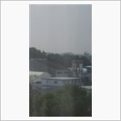 朝