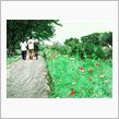 そうだ旅(どっか)に行こう。かと