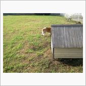 パパは、こっち。