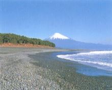 防災施設見学