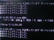 ワタシの仕事？？？ (・_・?)