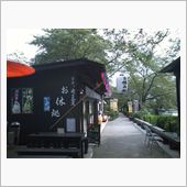 ムシムシですね～