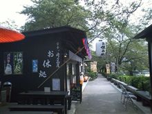ムシムシですね～