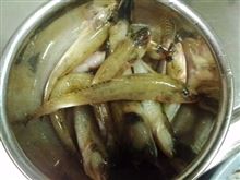 淀川でのんびりハゼ釣り