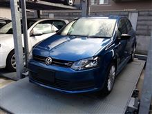 Polo Blue GT