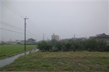 才ノヽ∋―_φ(゜▽゜*)♪ 【2013/09/16】 