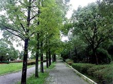 ３連休も早朝ウォーキング＆ジョギング