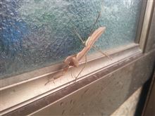 雨宿り・・・(･∀･)