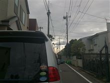 台風一過(*￣▽￣)ノ~~ ﾆﾄﾞﾄｺﾅｲﾃﾞﾈ～♪