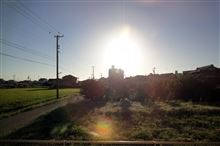 才ノヽ∋―_φ(゜▽゜*)♪ 【2013/09/17】