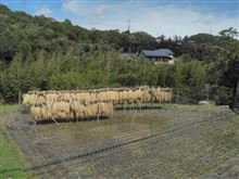 実りの秋