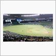 野球観戦（埼玉西武VS北海道日本ハム）