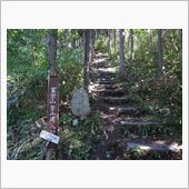 山歩きの予定が温泉に・・・・・