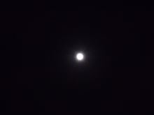 今夜は中秋の・・・・・
