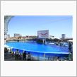 DBC撮影会　平日部（IN　名古屋港水族館）
