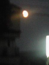 十五夜お月様m(_ _)m