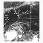 台風  19号(ウサギ)
