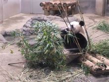 初めてだらけ・・・の続き。 初めてだらけ・・・の続き。