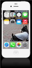 iOS 7 にアップを・・