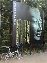 興福寺仏頭展